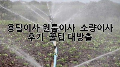 용달이사? 원룸이사? 📦 소량이사 후기 & 꿀팁 대방출!